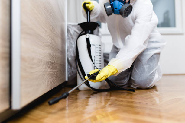 Best Pest Removal Services  in Ckam Housing, HI
