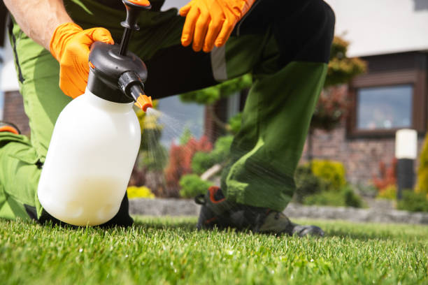 Best Wildlife Control Services  in Ckam Housing, HI
