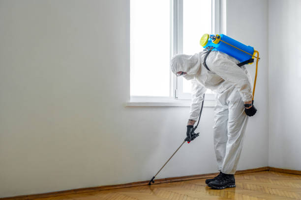 Best Affordable Pest Control Services  in Ckam Housing, HI