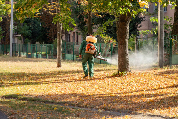 Best Bed Bug Extermination  in Ckam Housing, HI
